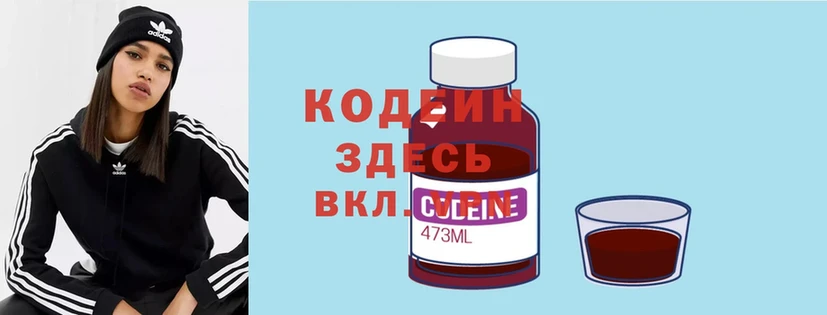 Кодеин Purple Drank  где купить наркоту  KRAKEN вход  Новоалтайск 