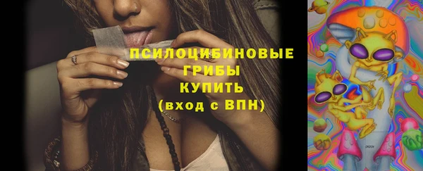 стаф Надым
