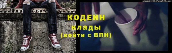МДПВ Нея