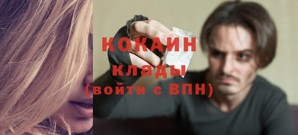 ешки Апатиты