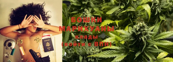 прущие грибы Анива