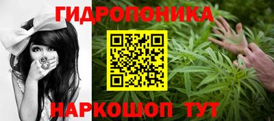 гидра Заволжье