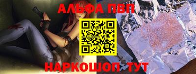 стафф Камышлов