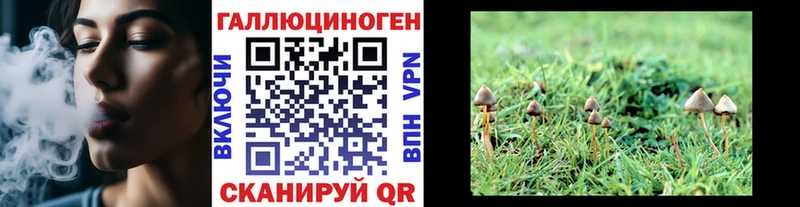 OMG сайт  Новоалтайск  Псилоцибиновые грибы GOLDEN TEACHER 